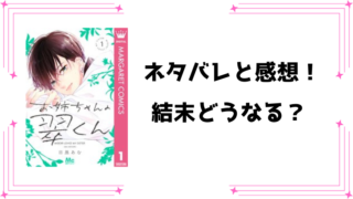 『お姉ちゃんの翠くん』全巻ネタバレ最新話！最終回・結末も考察！